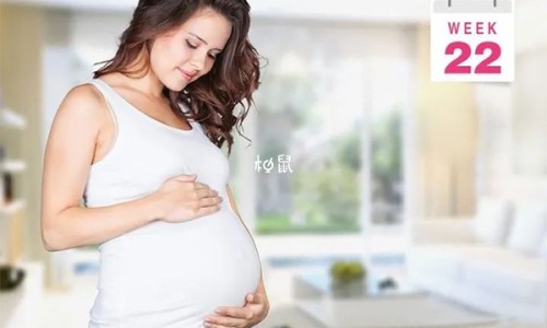 孕妇梦到汽球充气球-孕妇梦到汽球充气-专业孕妇梦到汽球充气了平台-孕妇梦见气球飞上天空