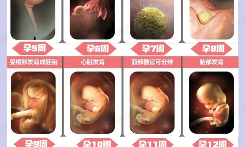 怀孕梦见气球里的水流出来了-孕妇梦到汽球充气-专业孕妇梦到汽球充气了平台-孕妇梦见气球飞上天空